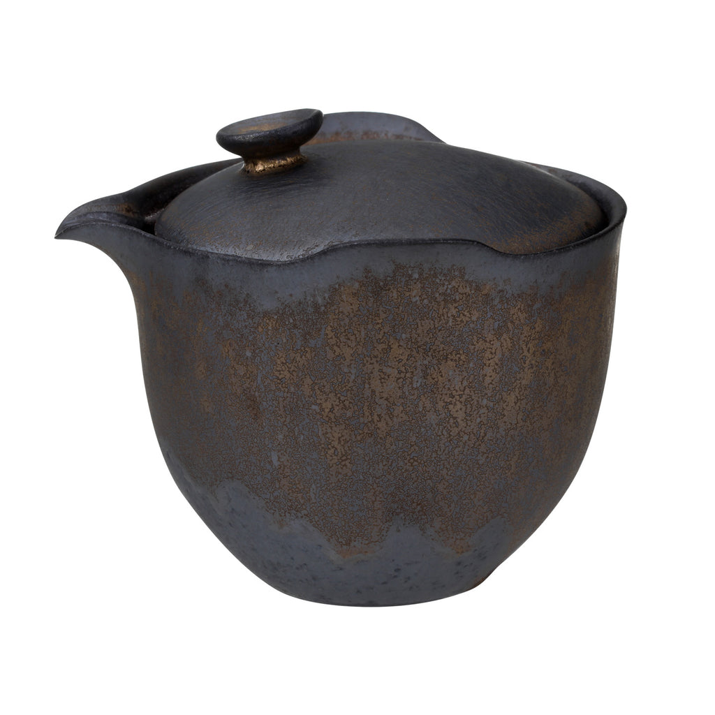 Chinese Teapot Set-Iron Glaze Travel Set 01 2