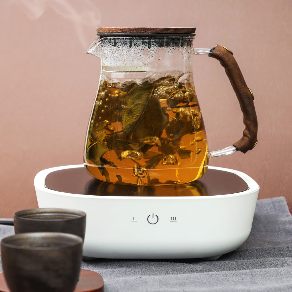 Modern Style Glass Teapot-Simple Brewing 750ml 1