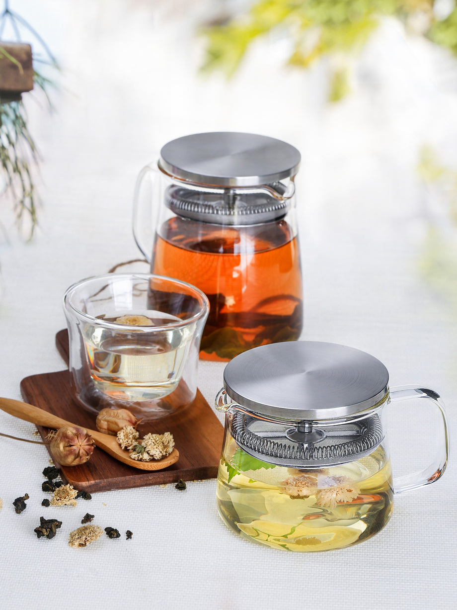 Warmyee Hofu 小型透明高ホウケイ酸ガラスティーポット 取外し可能な304ステンレススチールインフューザー付き 耐熱性ルーズリーフティーポット コンロ対応 550m | 耐熱ガラス急須 ホウケイ酸ガラス製 IH対応 透明 おしゃれ