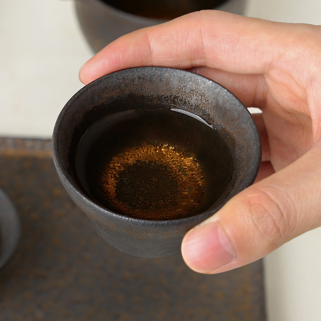Chinese Teapot Set-Iron Glaze Travel Set 01 8