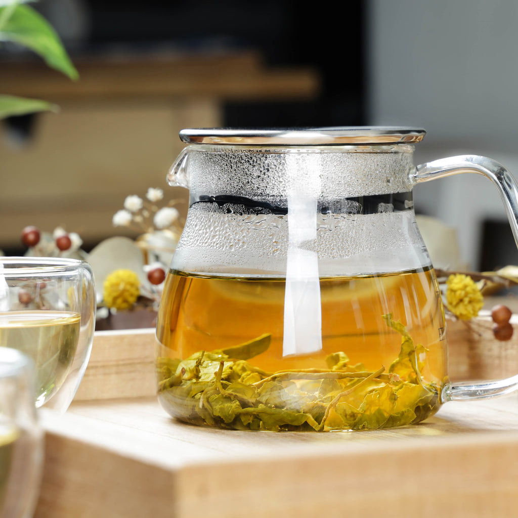 Glass Teapot with Strainer-Tea Expert 500ml 1