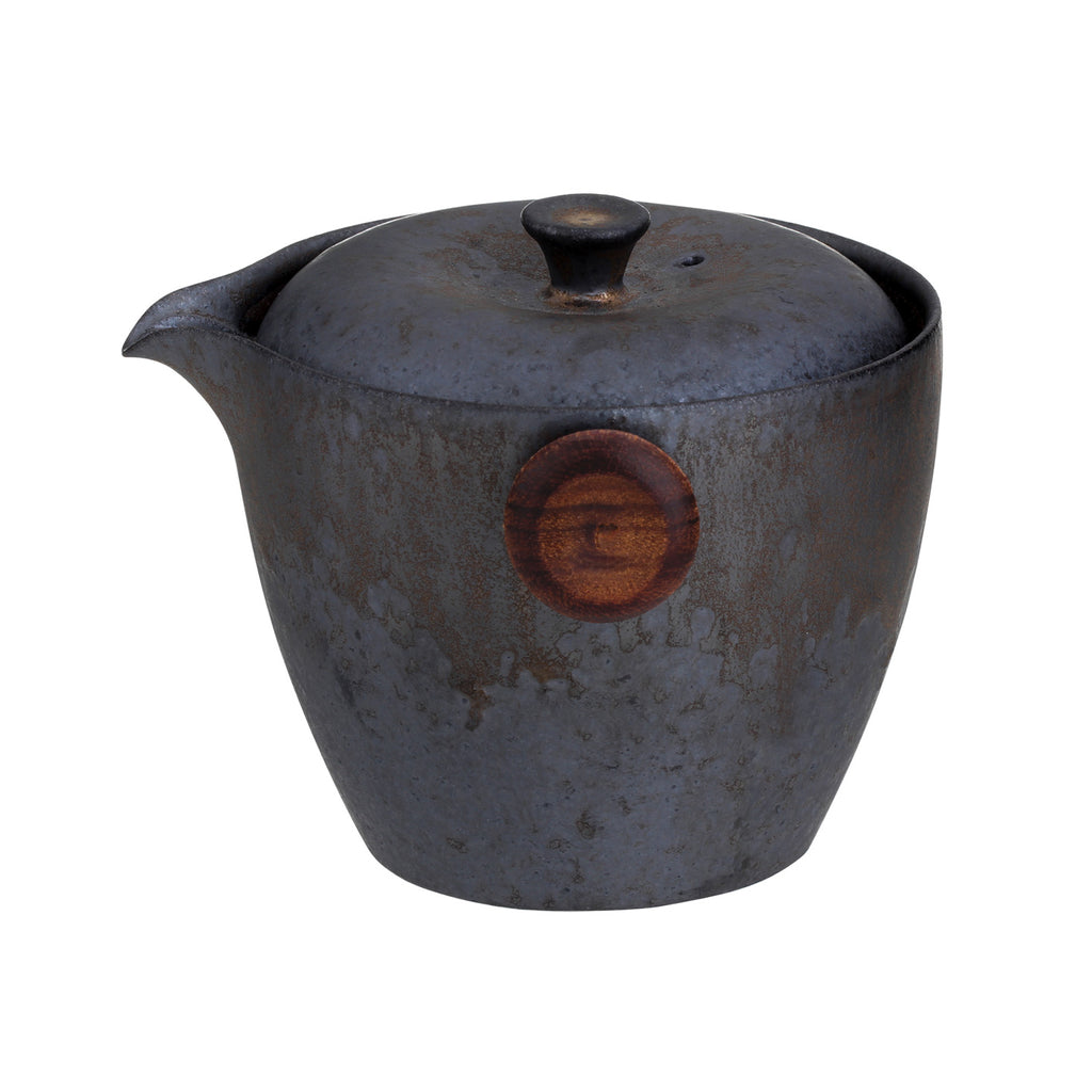 Chinese Teapot Set-Iron Glaze Travel Set 03 teapot