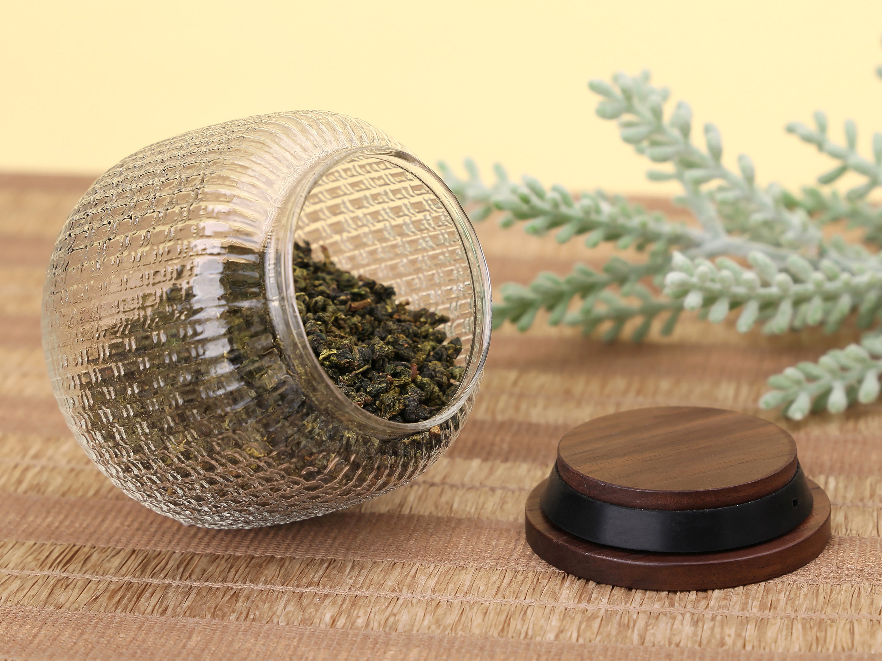 tee aufbewahrung glas Aufbewahrung von losem Tee aus Glas – Shell Glass Tea Jar – EILONG – EILONG®