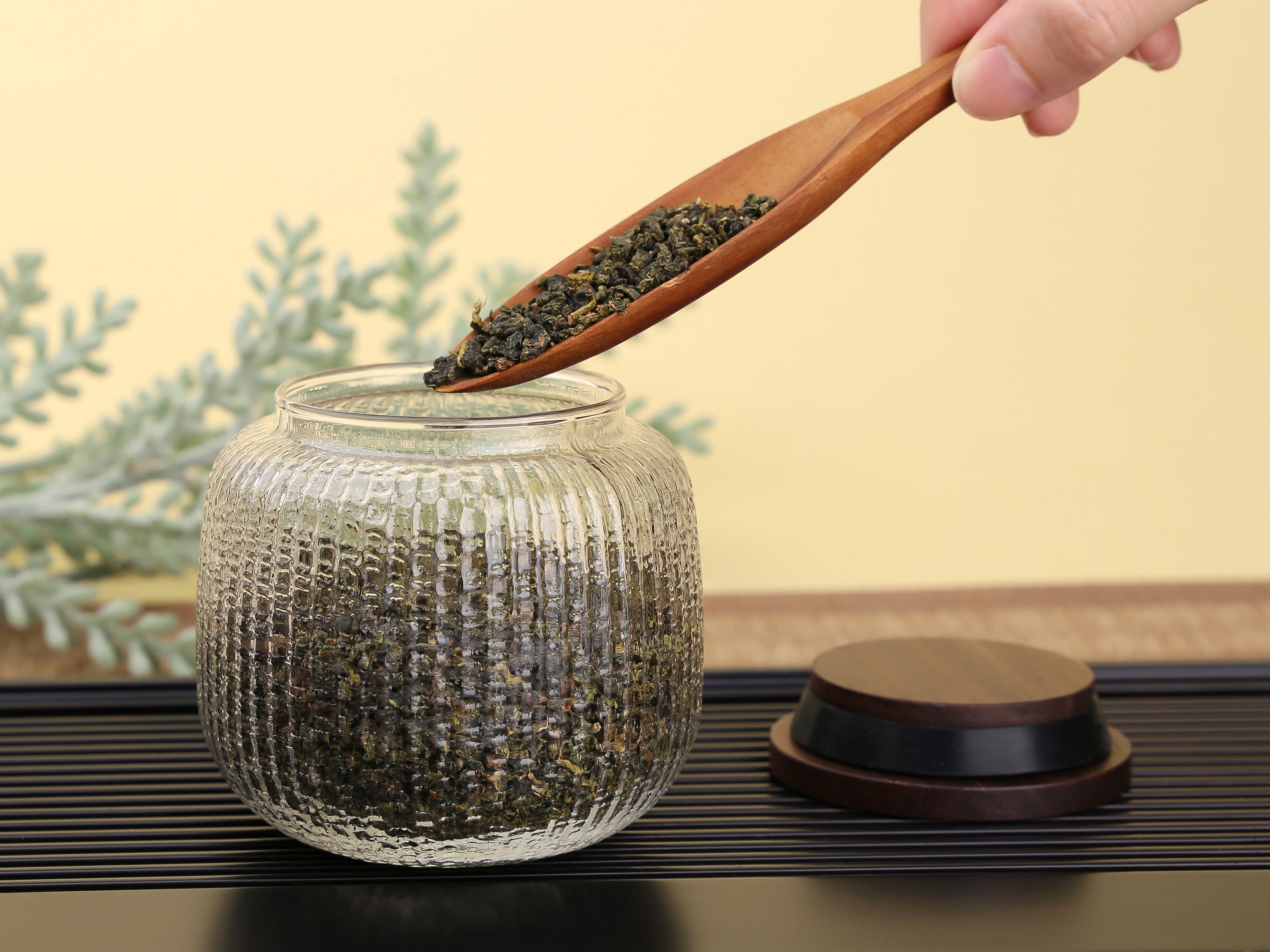 teegläser aufbewahrung Muschelglas Teeglas (350ml)