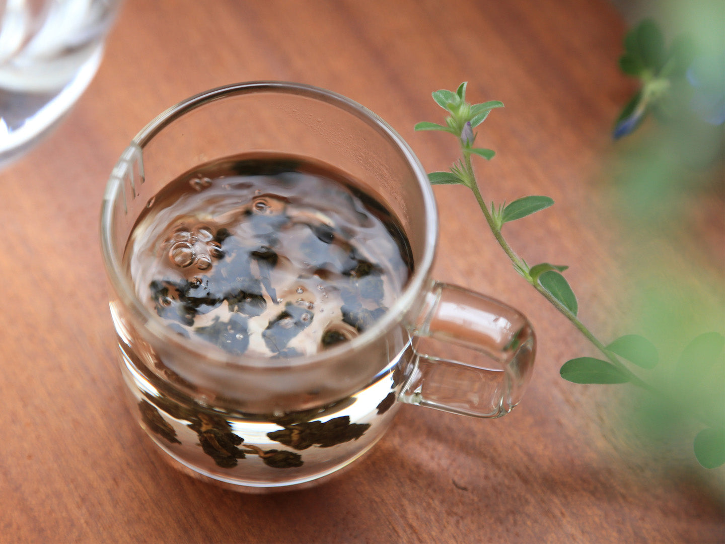 Clear Tea Cup Set - Glass Tea Tasting Set – EILONG®